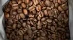 O governo de SP busca incentivar o cultivo do café Canephora