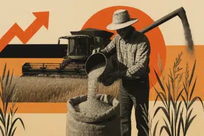 Imagem card com fundo