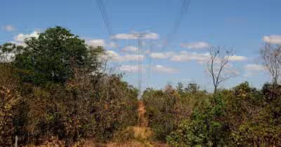 Imagem card com fundo