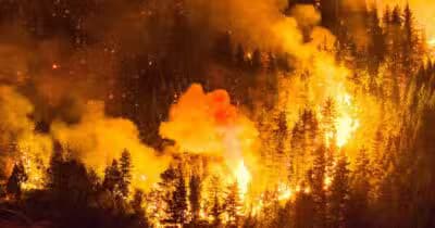 Imagem card com fundo