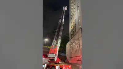 Imagem card com fundo