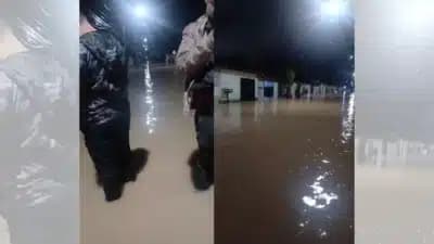 Imagem card com fundo