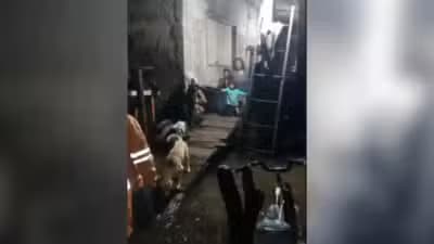 Imagem card com fundo