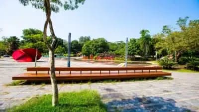 Imagem card com fundo