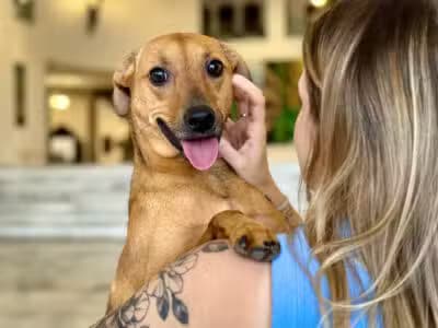 Imagem card com fundo