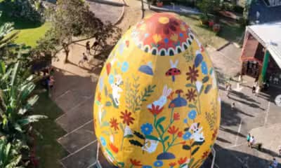 Imagem card com fundo