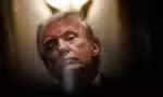 Donald Trump, durante uma reunião de gabinete na Casa Branca, em Washington