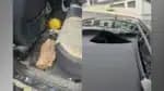 Homem é preso em BH por lançar bloco de concreto em carro de mulher